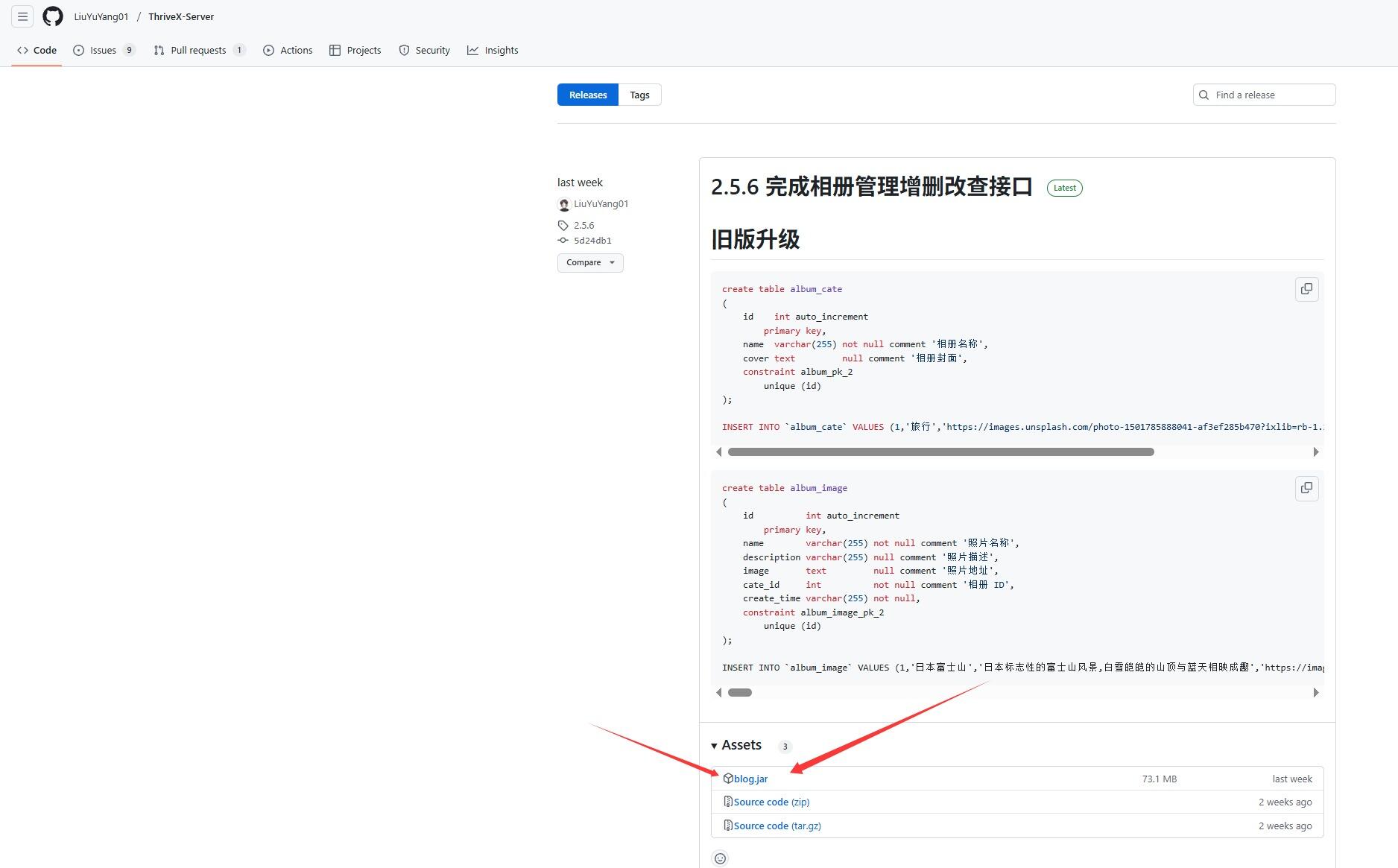 用1panel搭建ThriveX博客完整版-vv衣学院
